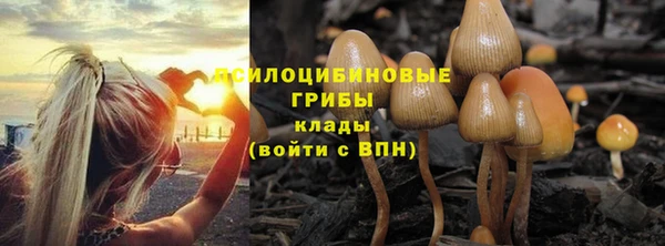 стаф Алексин