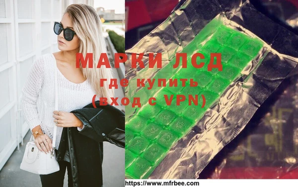 стаф Алексин