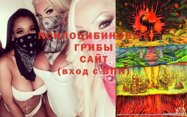 эйфоретик Алзамай