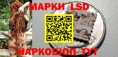 амф Обь