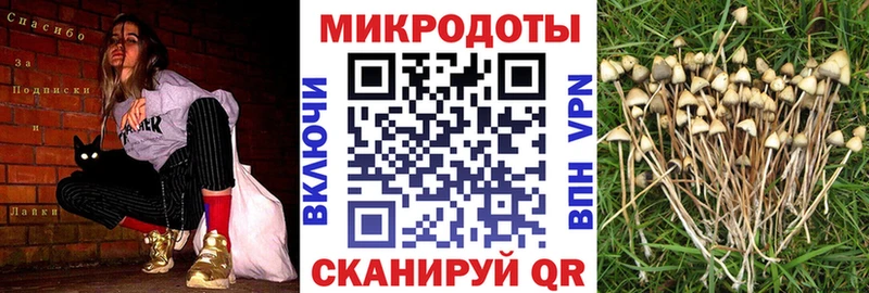 Галлюциногенные грибы Cubensis Переславль-Залесский