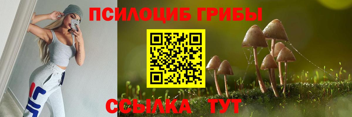 Псилоцибиновые грибы мицелий  Вход с VPN  Переславль-Залесский 