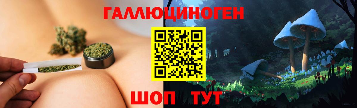 Галлюциногенные грибы Cubensis Переславль-Залесский